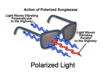 Polarized light